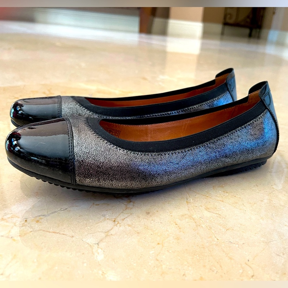 Joseph Siegel Phippa Flat size 41